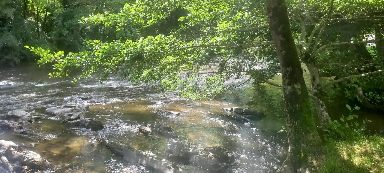 Les Berges Du Cele 호텔 Bagnac 외부 사진